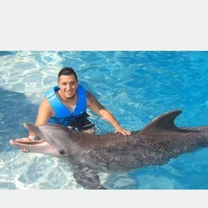 Meet your Posher, David